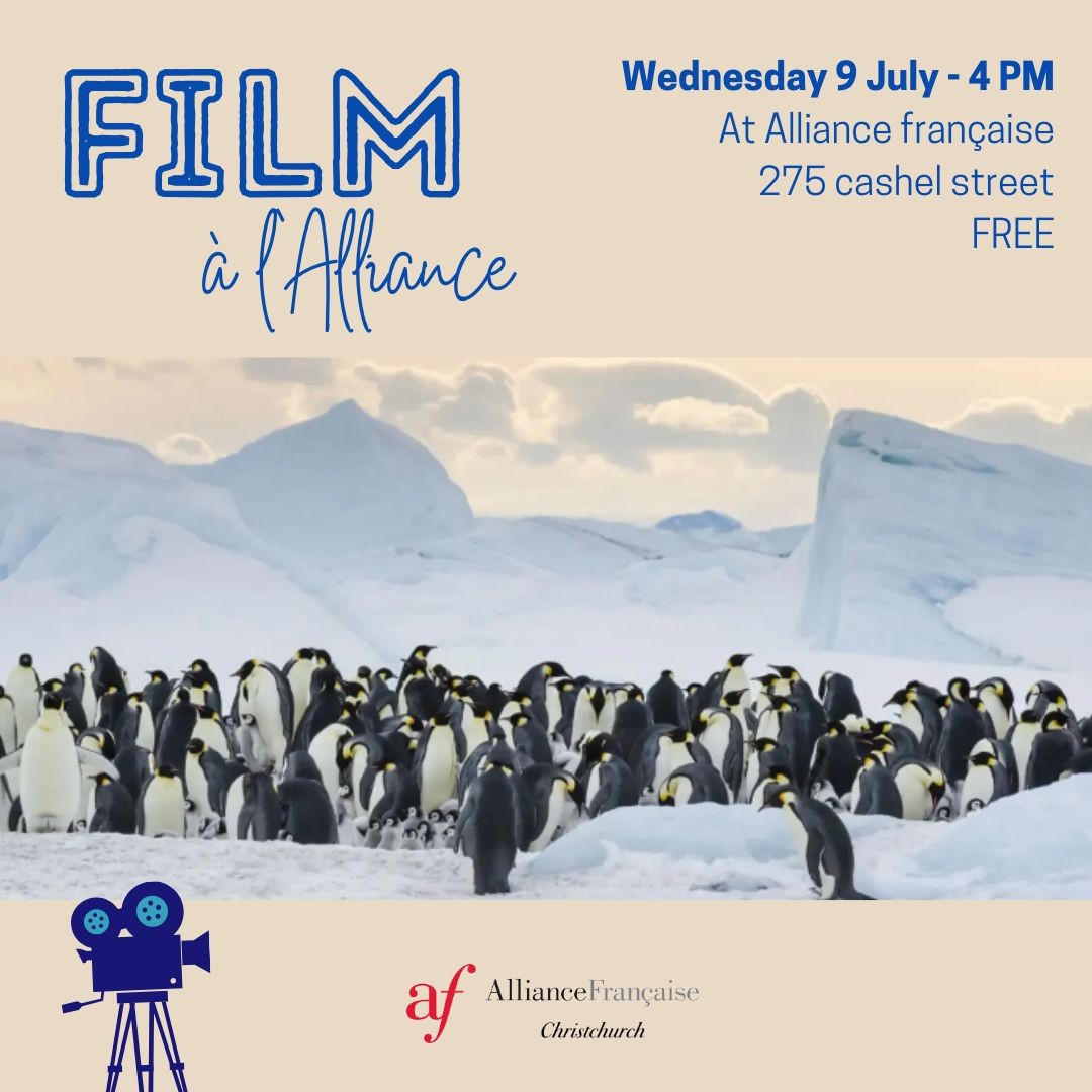 Film à l'Alliance